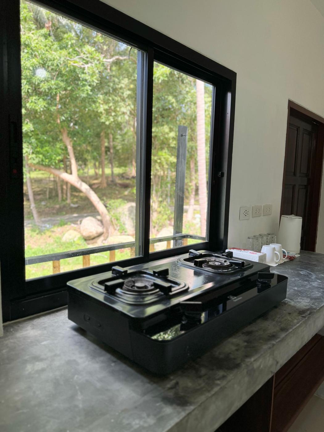 Two-burner stove by a window onto the trees