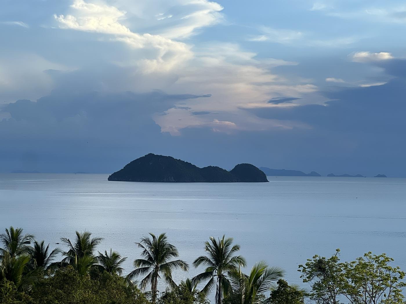Island on the horizon seen over the palms