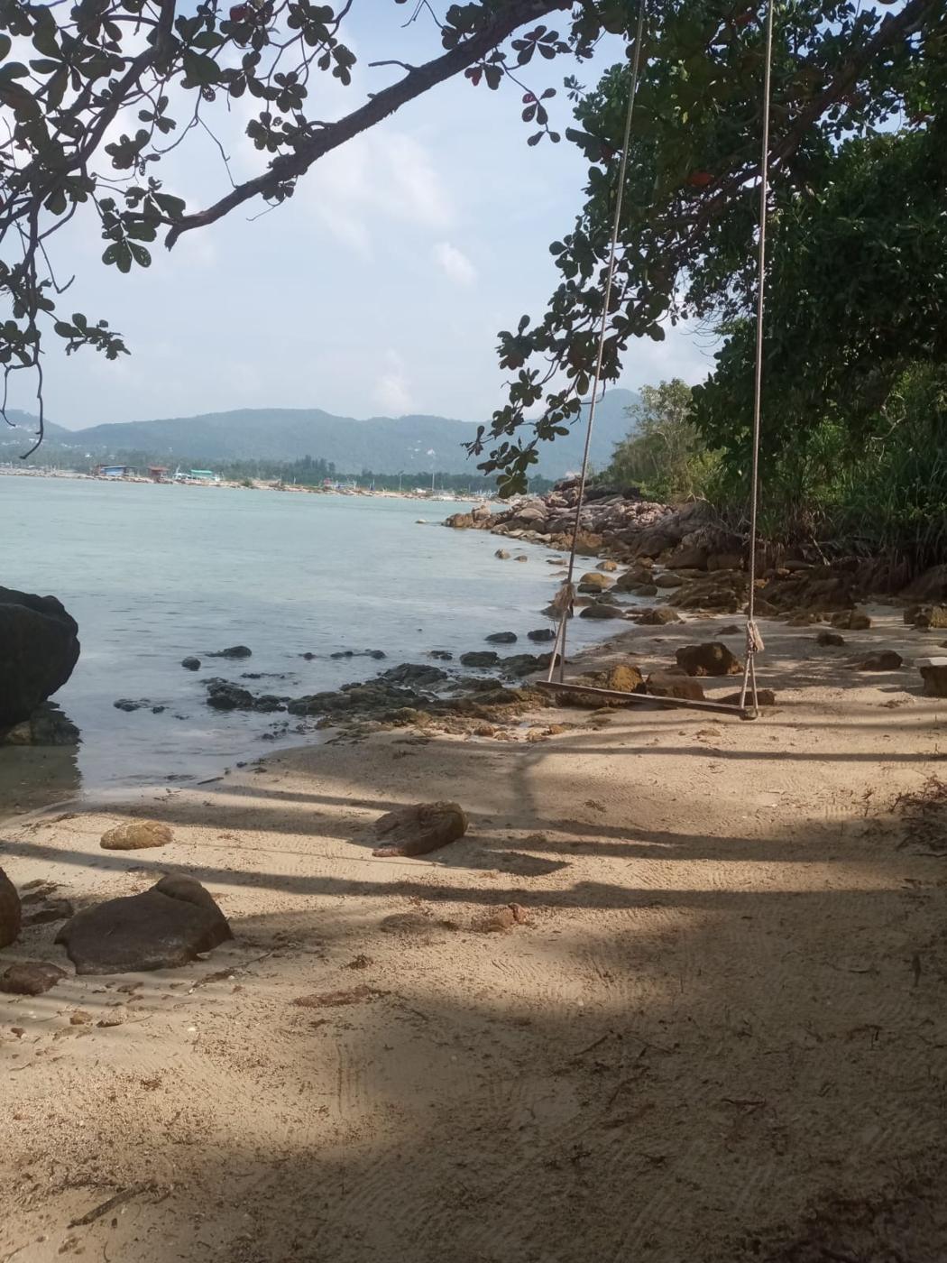 Rope swing on a shaded sandy beach